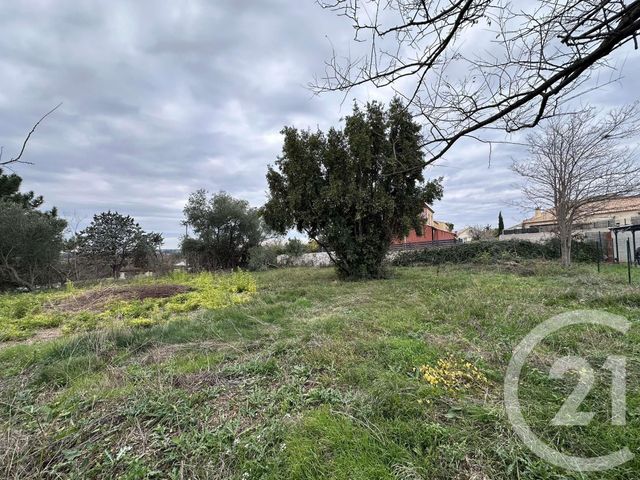 terrain à vendre - 544.0 m2 - MEZE - 34 - LANGUEDOC-ROUSSILLON - Century 21 Bassin De Thau